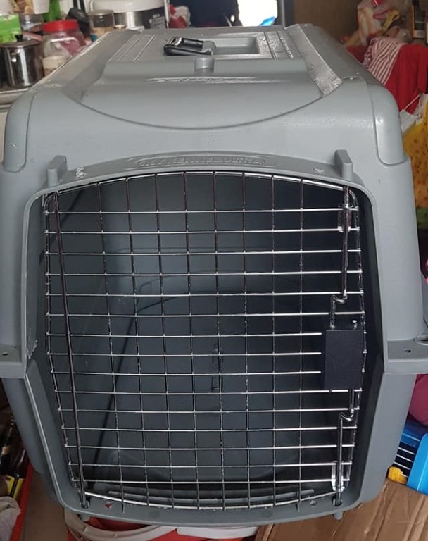 AIRLINE APPROVED Petmate Sky Kennel Ultra Dog Carrier, Pet Supplies