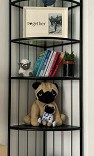 (Category: ) located in . Submitted by zamil123 (Listing ID 1048930118, Image 1). Description: .