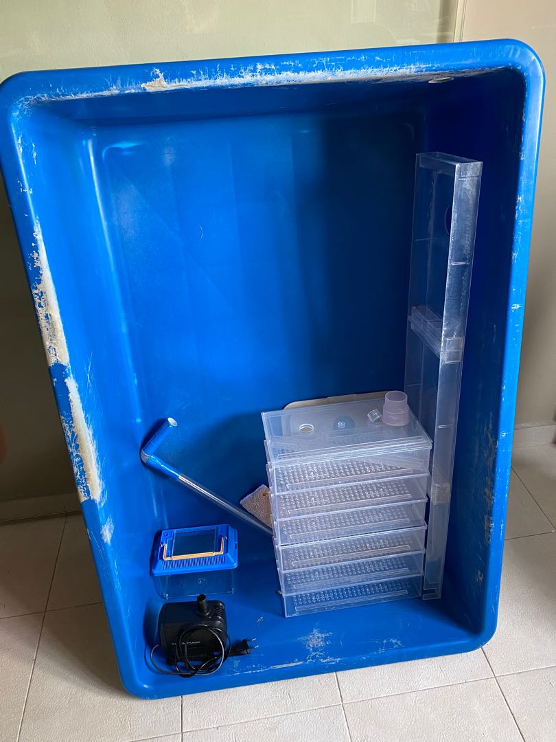 Fish Koi Plastic Tank 107cm x 73cm x 32cm, Pet Supplies, Homes & Other