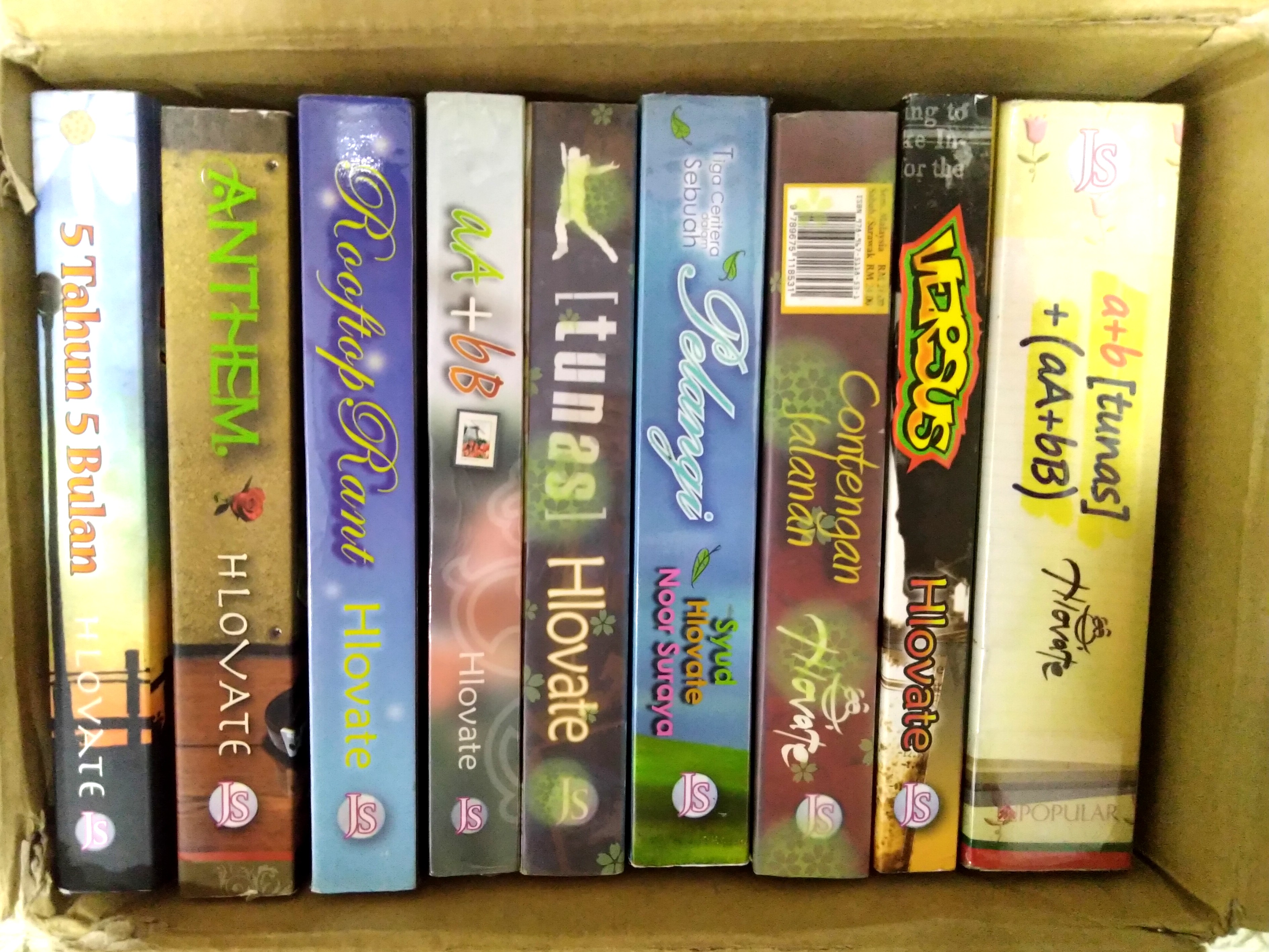Novel By Hlovate Jemari Seni Books Stationery Books On Carousell