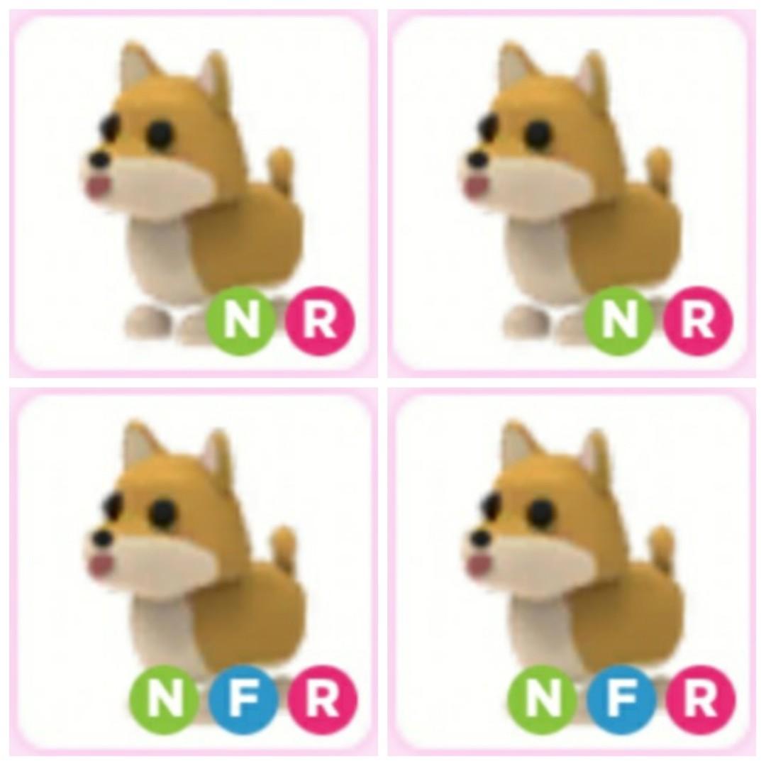 Good Names For A Neon Shiba Inu In Adopt Me - roblox adopt me mega neon shiba inu