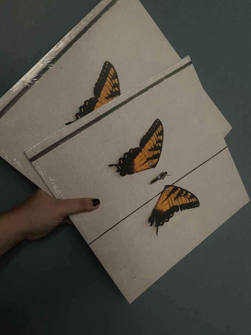 Paramore Brand New Eyes Vinyl (new) for Sale in West Chester, PA - OfferUp