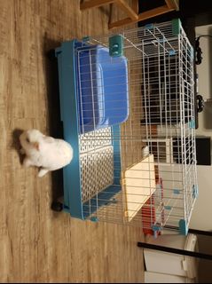 (Category: ) located in . Submitted by minut3s (Listing ID 1048989012, Image 1). Description: .