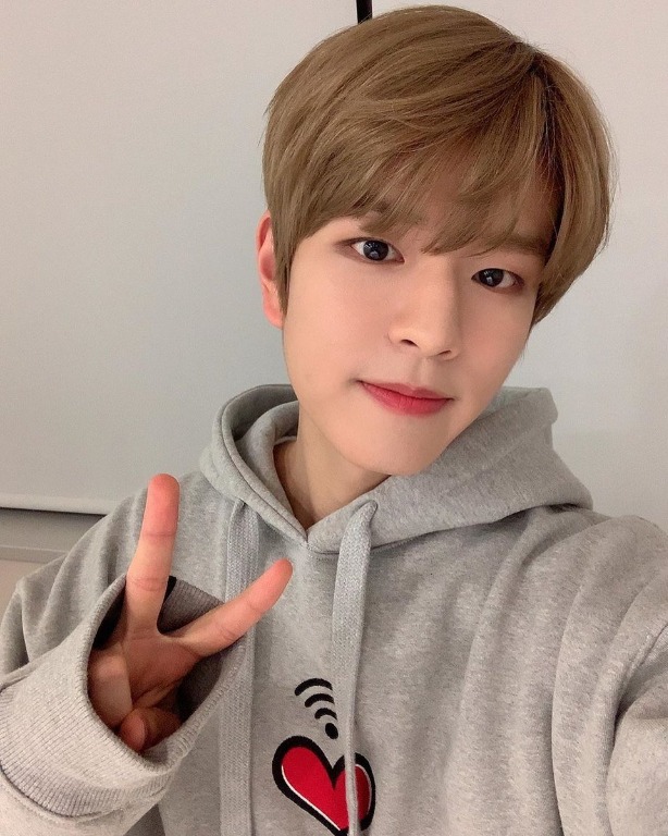 Seungmin heart wifi hoodie clearance