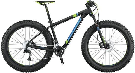 Big ed fat 2025 bike