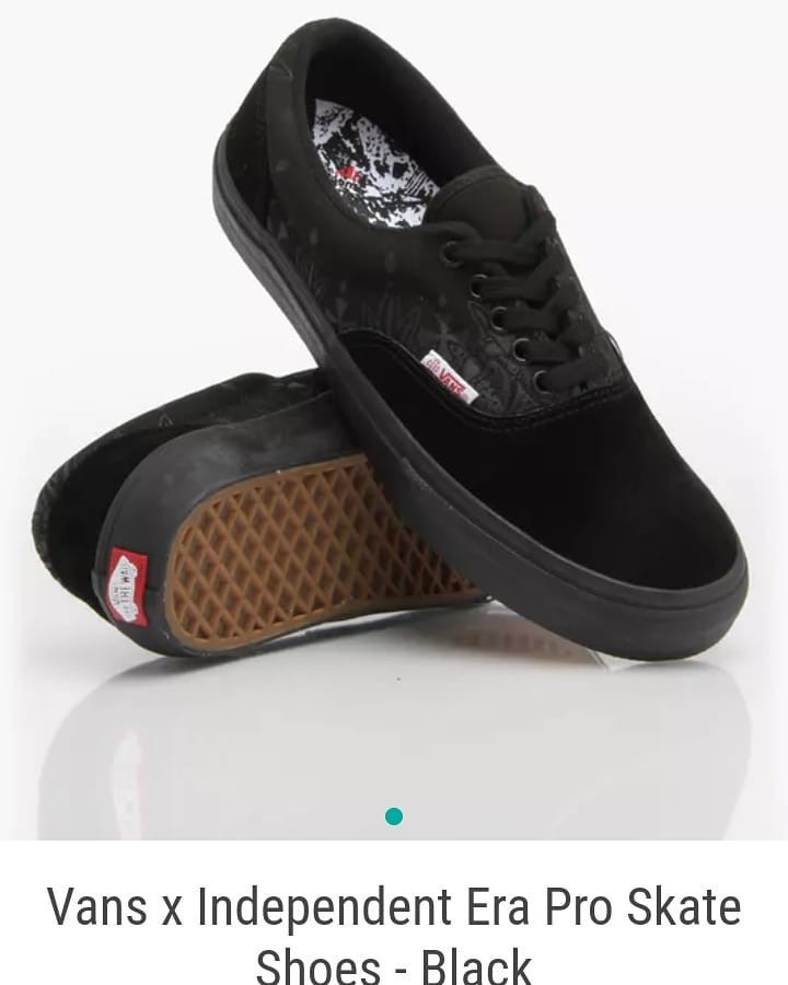 Vans 2024 era independent