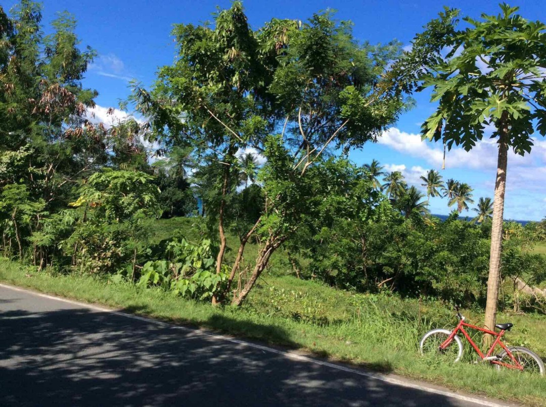Titled Residential Lot beside the highway along Real Infanta Highway