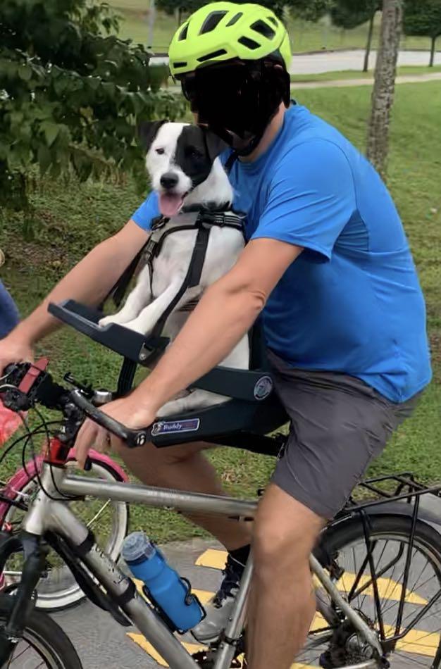Buddyrider bike seat for dogs Sports Equipment Bicycles Parts Parts Accessories on Carousell