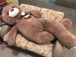 (Category: ) located in . Submitted by Buttercookies (Listing ID 1049197570, Image 1). Description: .