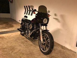 Harley Low Rider | IGL Kenzo Coating | Mobile Grooming