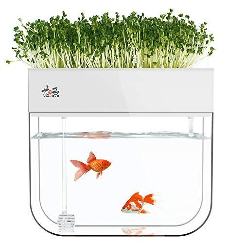 Hydroponic Garden Aquaponic Fish Tank Plants Growing System Self Cleaning Seed Sprouter Tray Pet Supplies For Fish Fish Tank Accessories On Carousell