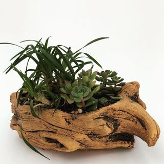 (Category: ) located in . Submitted by diy_garden_ (Listing ID 1049230720, Image 1). Description: .