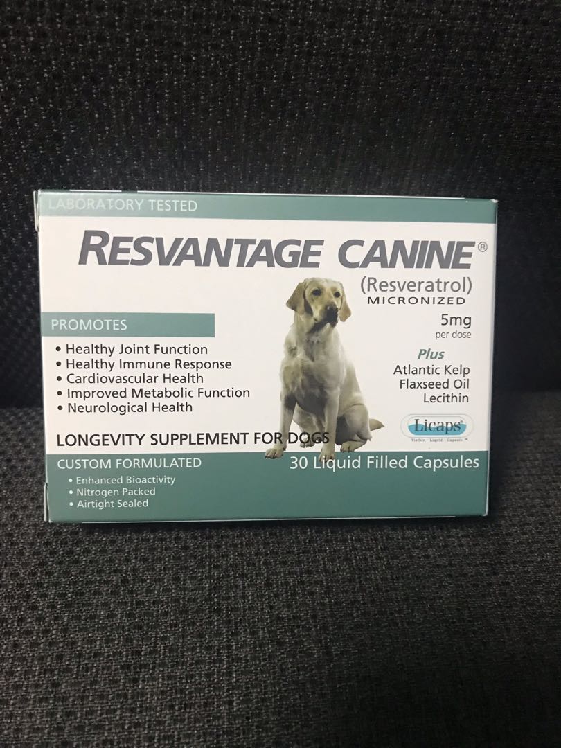 Resvantage canine shop