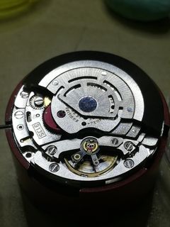 Yuki 3135 sales
