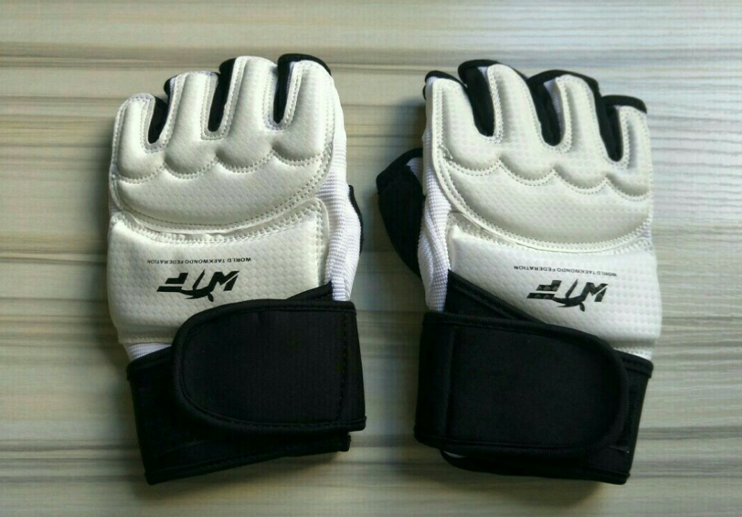 WTF Taekwondo Glove, Sports Equipment, Sports & Games, Skates