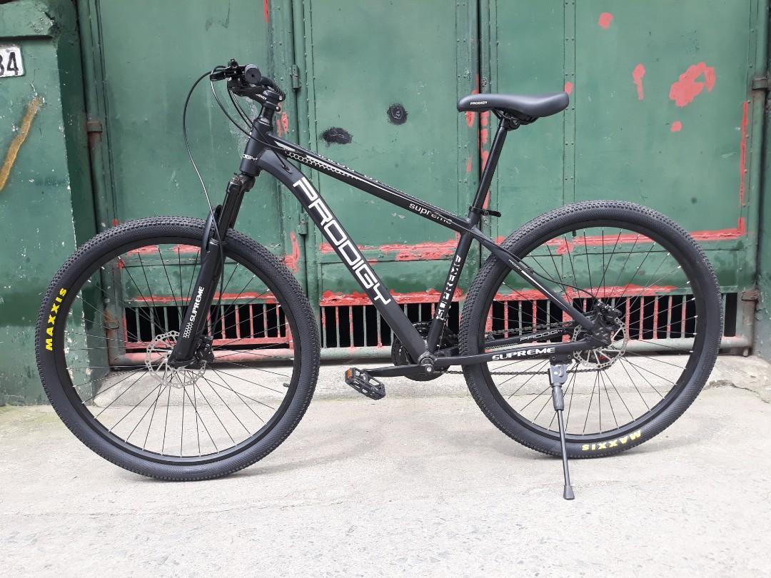 titan sport 29er