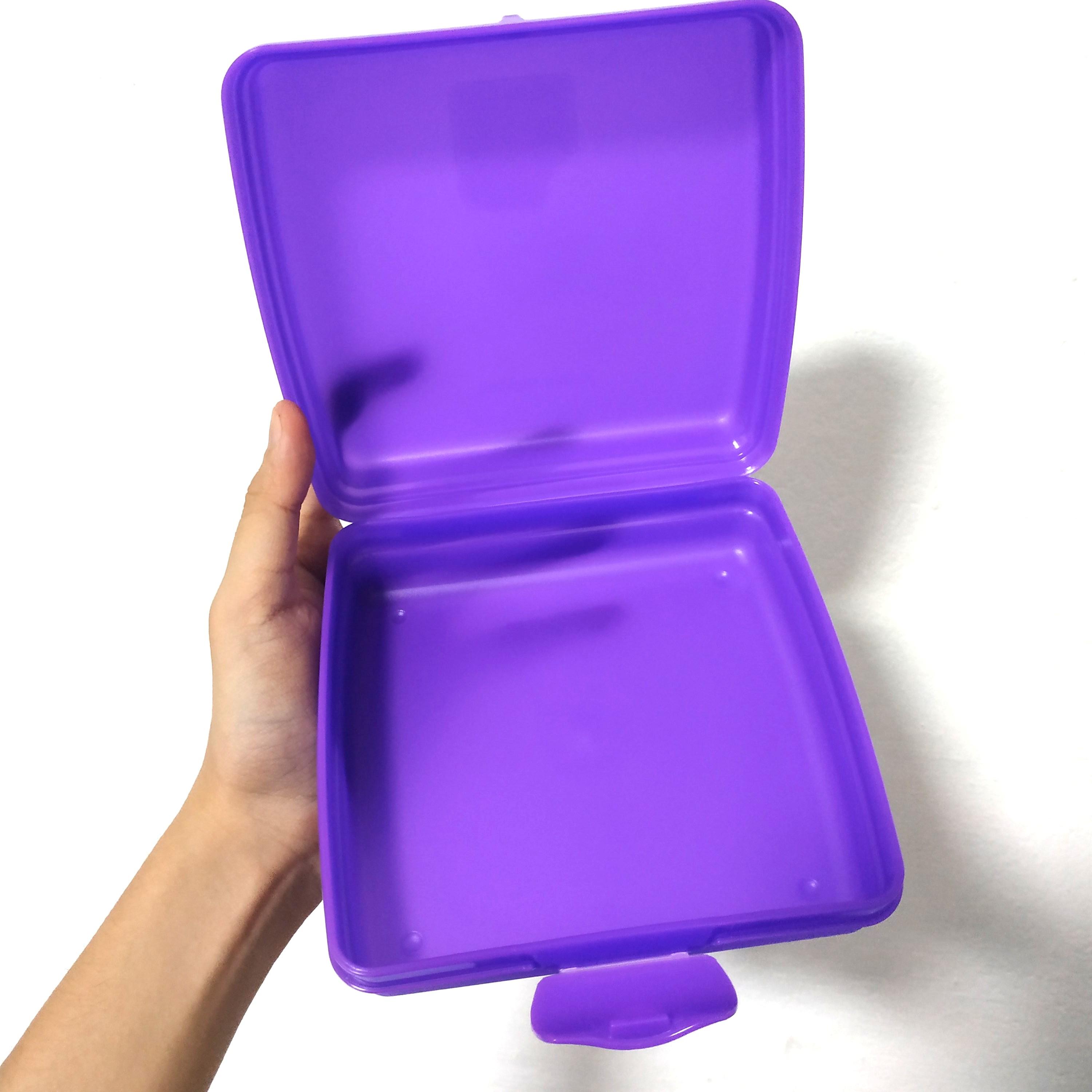 Tupperware Sandwich Keeper Purple