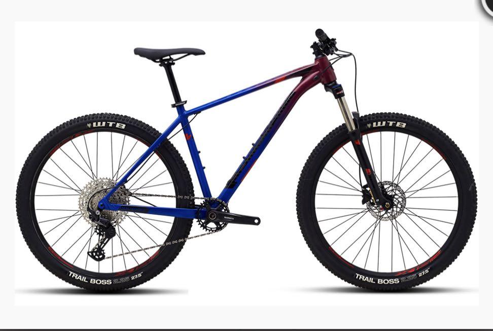Xtrada limited edition 2021 sale