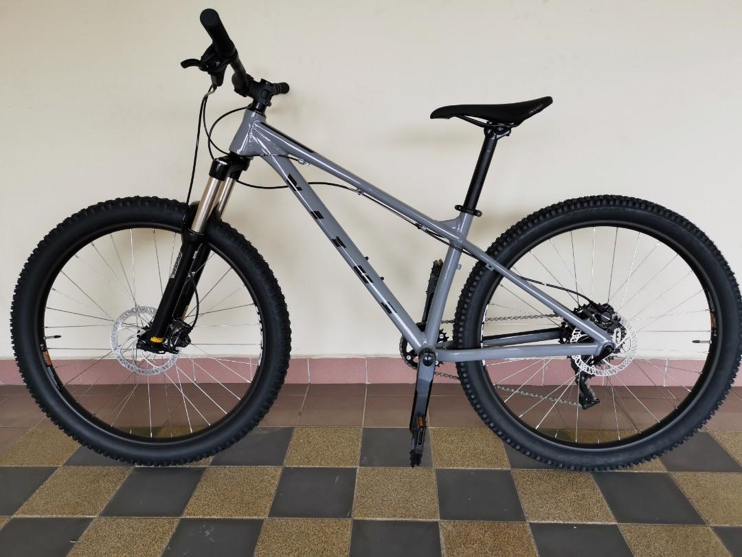hardtail of the year