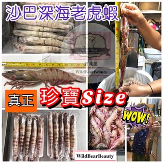 （分類：）位於 。 由 wildbear_228 提交（商品編號 1049642312，圖片 1）。簡介： 。