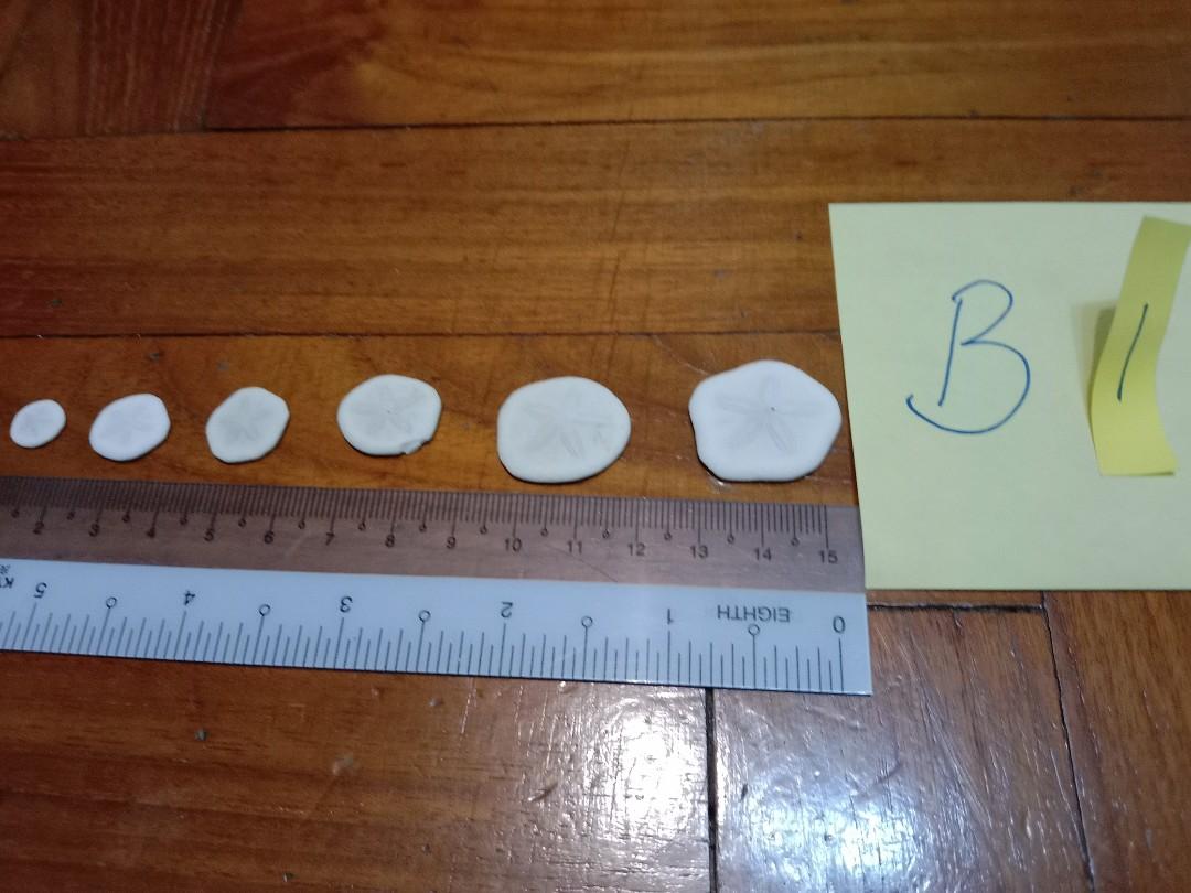 Assorted Seashells (Category: Precious Stones) located in Singapore. Submitted by mashedpotatogin (Listing ID 1049684944, Image 4). Description: A4 $0.50 each A5 $0.40 each B1 $1.20 each price negotiable for volume purchase..