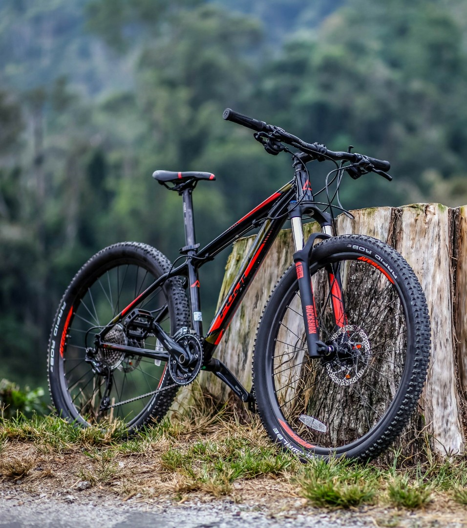 Fuji tahoe 2025 vintage