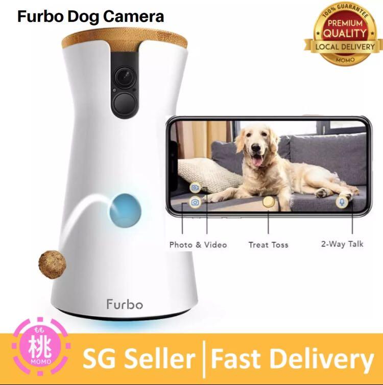 Furbo and alexa new arrivals