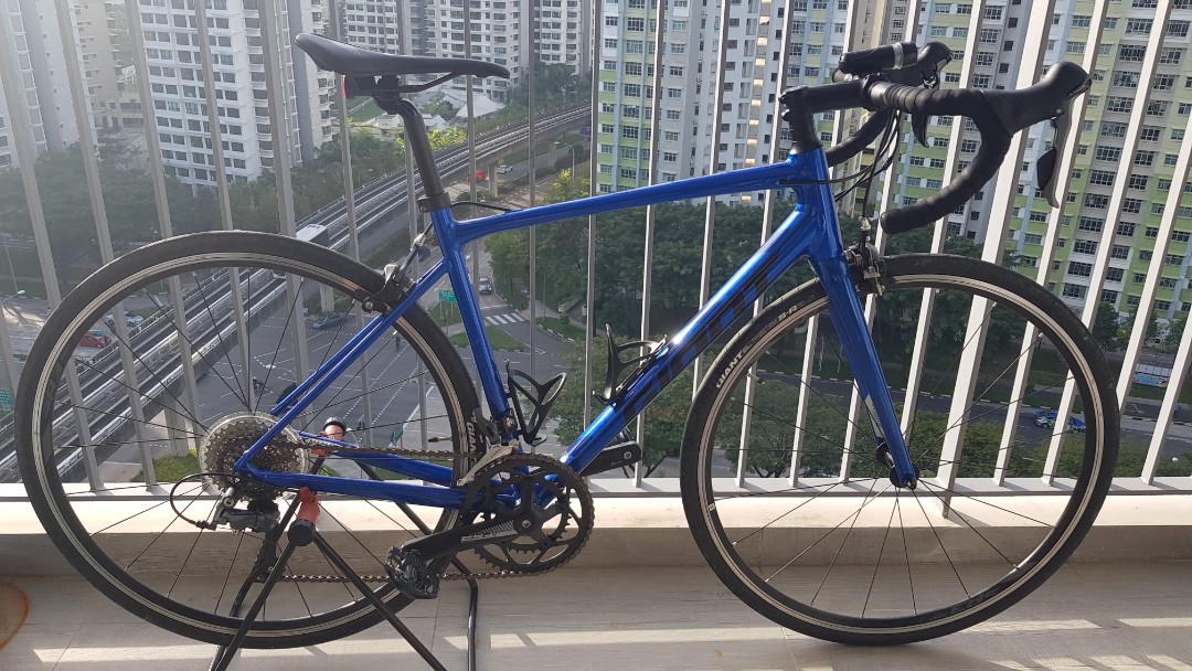 Giant Contend 2 2020