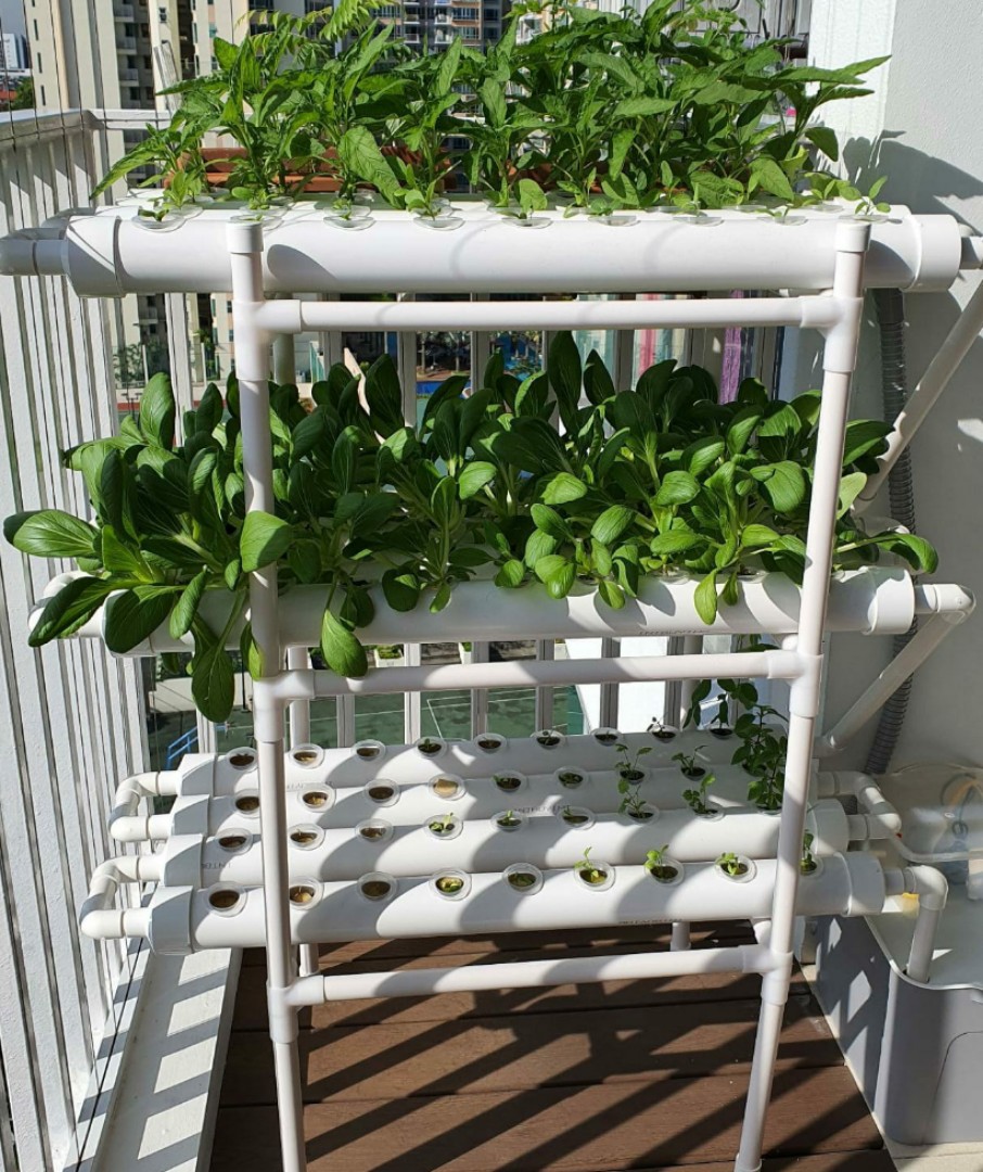 Ready stock- New 3 tier 108 holes Hydroponics rack system., Furniture ...
