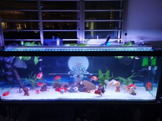 (Category: ) located in . Submitted by eason24 (Listing ID 1049879331, Image 1). Description: .