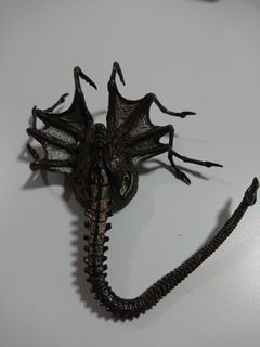 （分類：）位於 。 由 dr.rogerl 提交（商品編號 1049967500，圖片 1）。簡介： 。