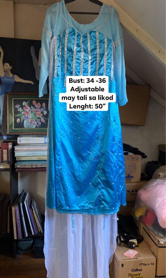 Elsa costume Plus size adult size Frozen Women s Fashion