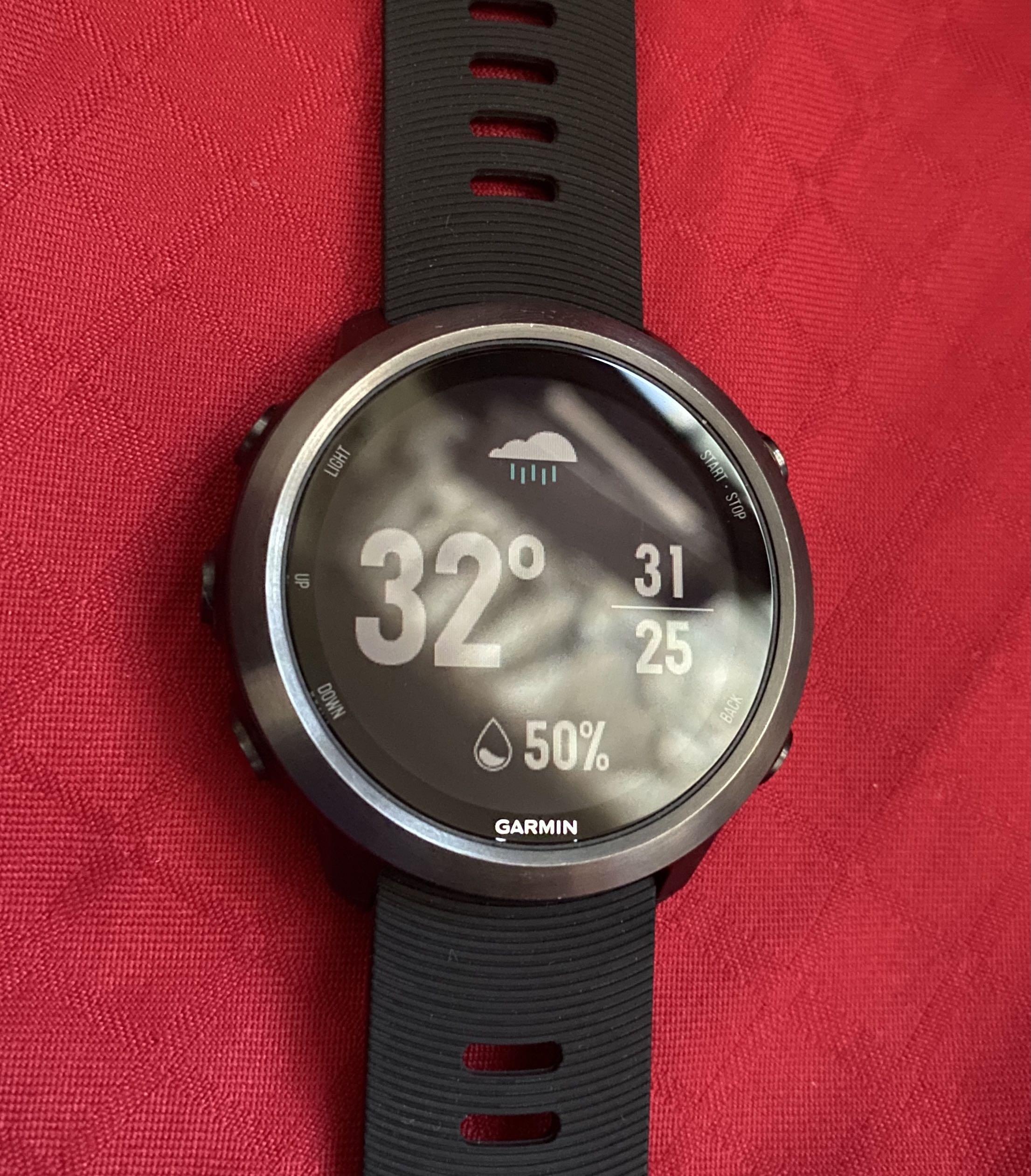 Garmin forerunner 645 music slate top