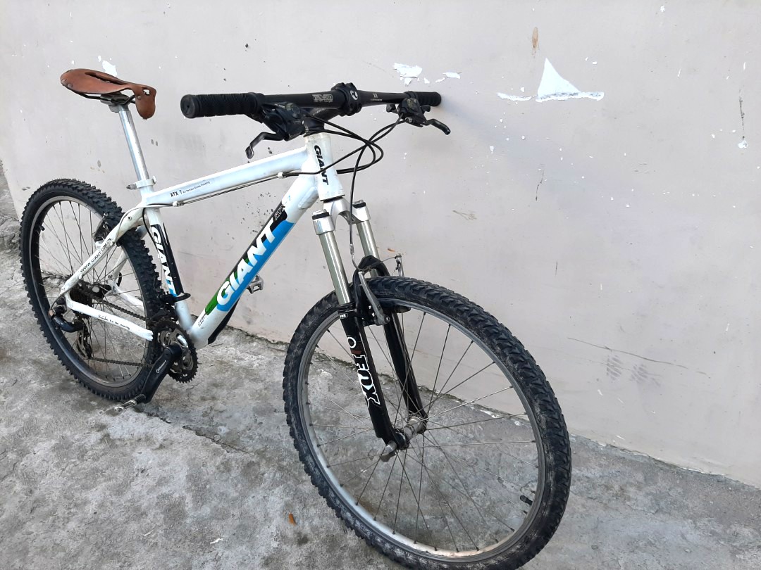 giant mtb