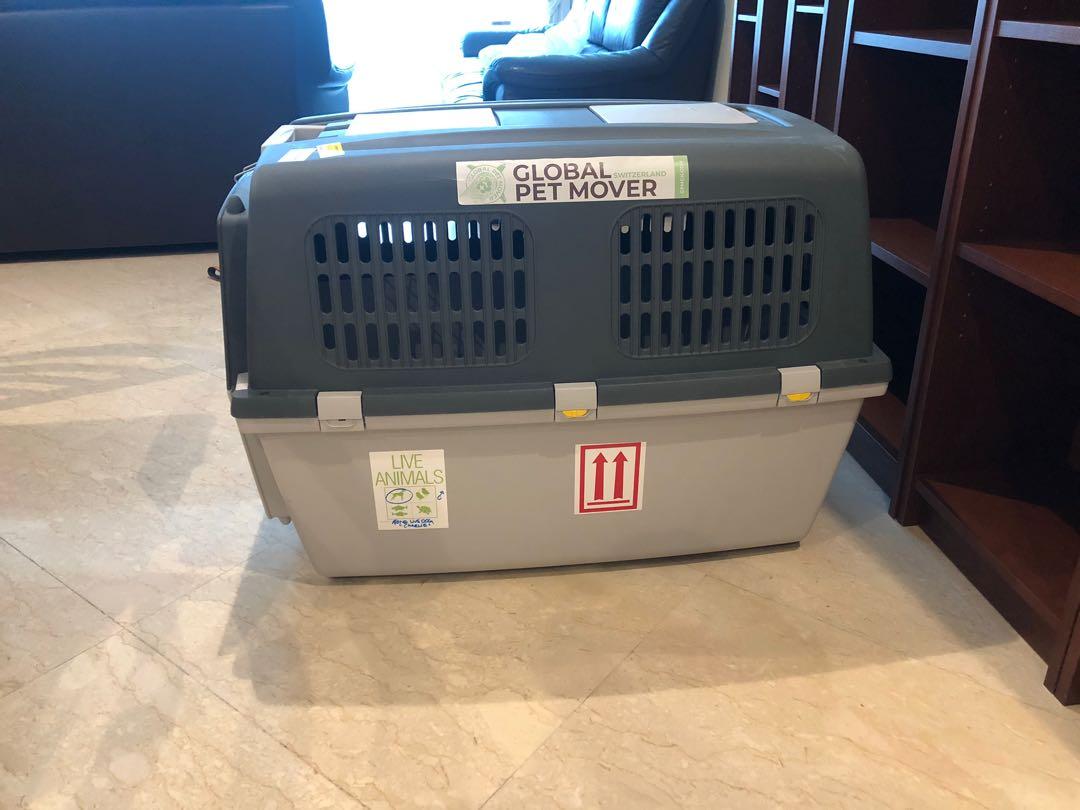 IATA approved gulliver 6 dog crate, Pet Supplies, Homes & Other Pet