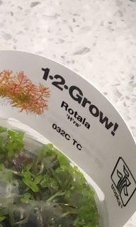 （分類：）位於 。 由 ascari 提交（商品編號 1049780963，圖片 1）。簡介： 。