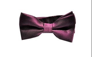 煲呔(亮紫色) 共100多款  BOW TIE64185331638914110