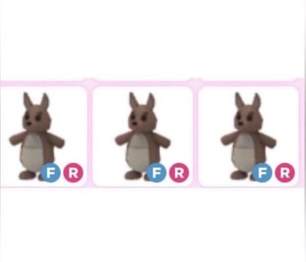 Adopt me pets 3 FR Kangaroo all of the 3 kangaroos for 25 sgd, Video Gaming, Gaming