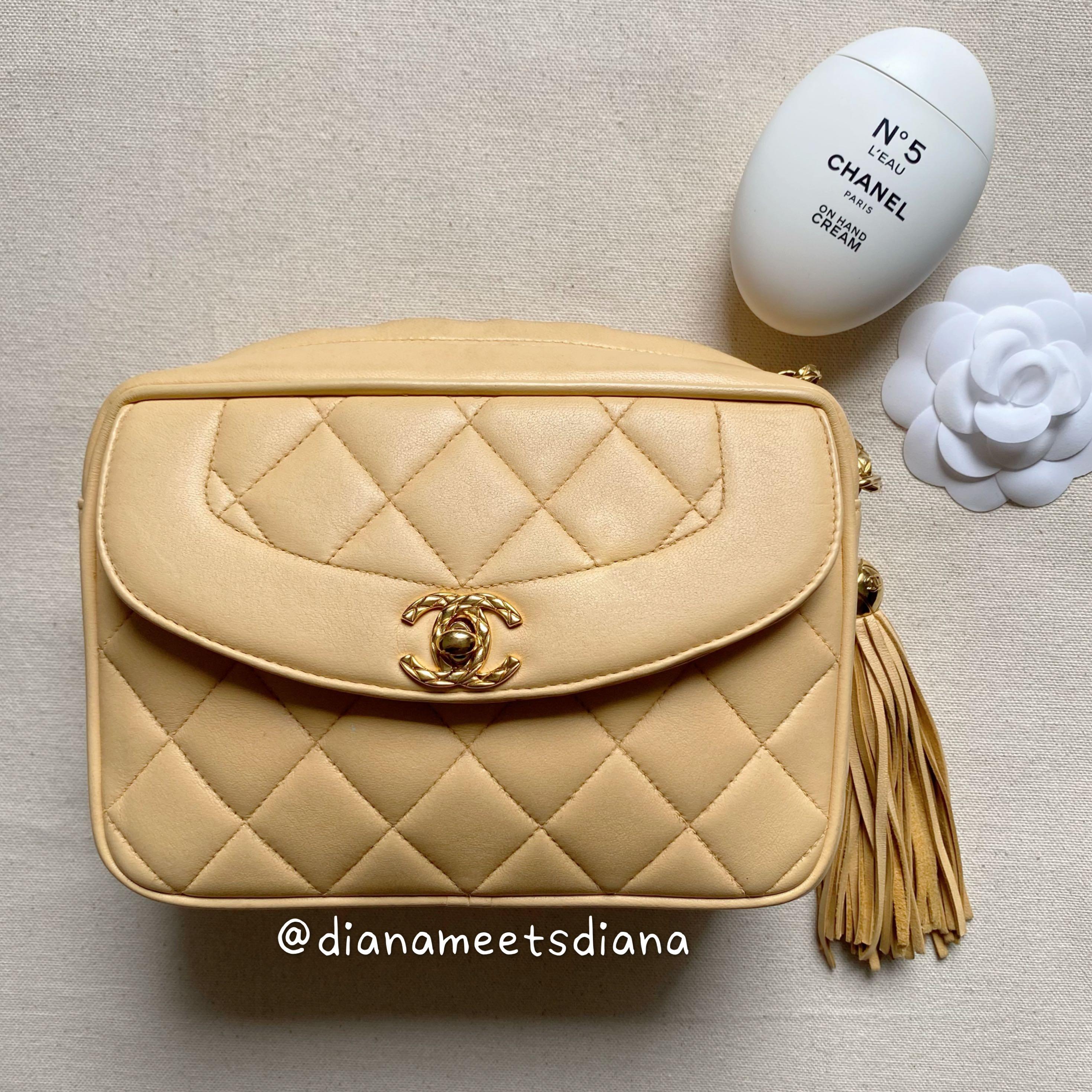[SOLD] Chanel Diana Vintage Bijoux Camera Bag
