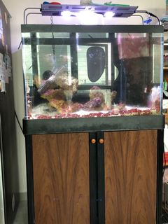 (Category: ) located in . Submitted by joche (Listing ID 1050056342, Image 1). Description: .