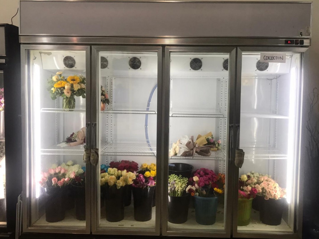 Flower Fridge, TV & Home Appliances, Kitchen Appliances, Refrigerators