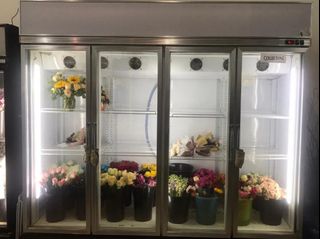 (Category: ) located in . Submitted by windflowerflorist (Listing ID 1050057840, Image 1). Description: .