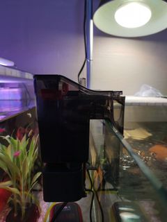 (Category: ) located in . Submitted by elisejay (Listing ID 1050034938, Image 1). Description: .