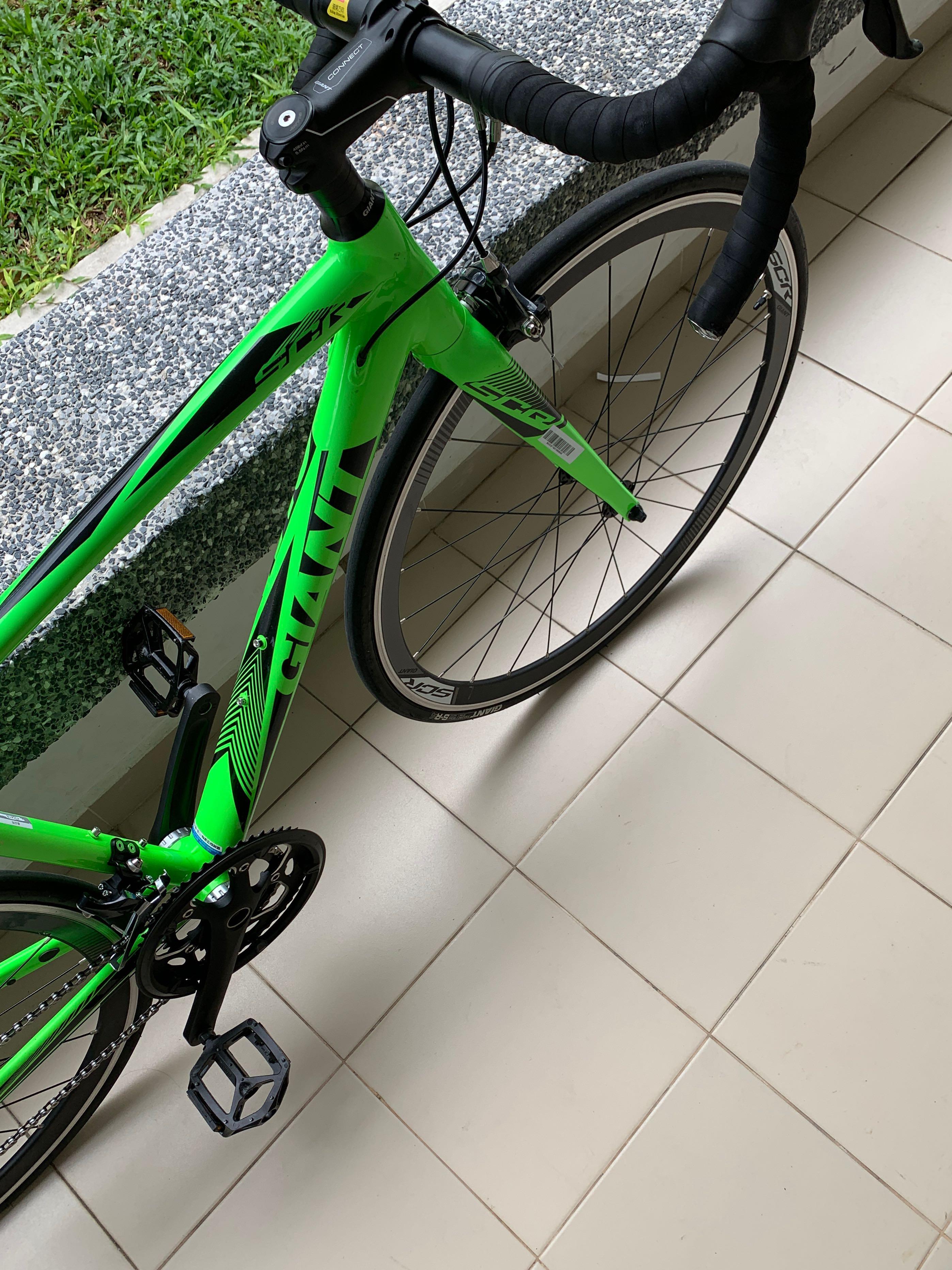 Giant scr outlet 1 2019