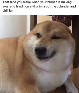(Category: ) located in . Submitted by hungrycloset (Listing ID 1050173839, Image 1). Description: .