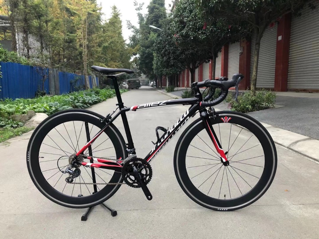 large bike backpack
