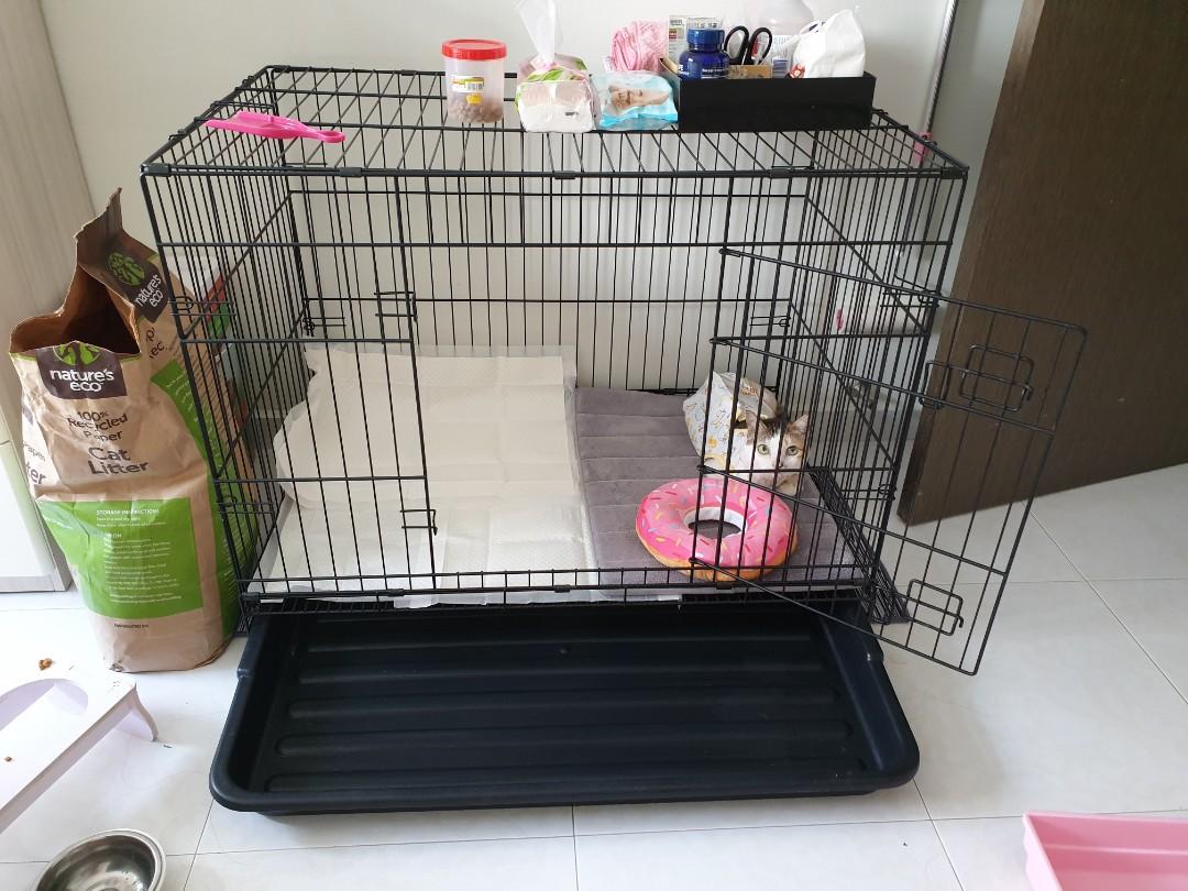 3 feet dog cage clearance