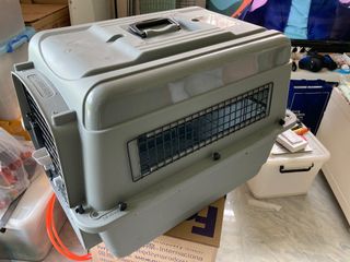 （分類：）位於 。 由 amazonrex 提交（商品編號 1046208215，圖片 1）。簡介： 。