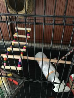 (Category: ) located in . Submitted by jsnov (Listing ID 1046281665, Image 1). Description: .