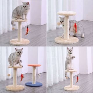 Pet Condo Collection item 3